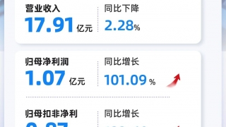 一圖讀懂 利亞德2025年三季度報(bào)告